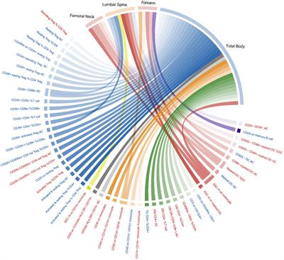 The immune factors have complex causal regulation effects on bone mineral density